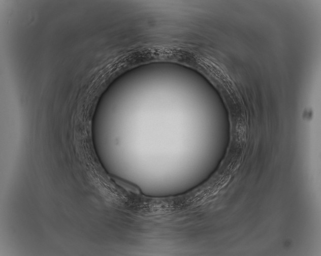 X0000096180865200801181310