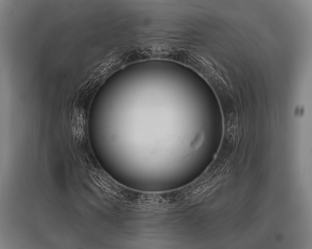 X0000096180866200801181310