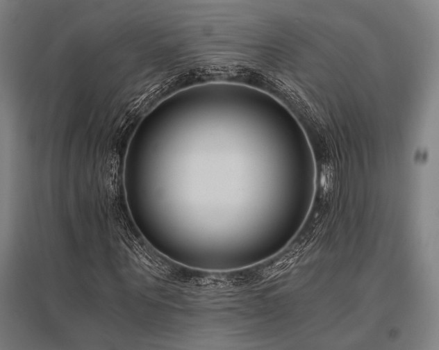 X0000096180867200801181310