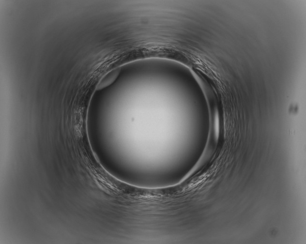 X0000096180868200801181310