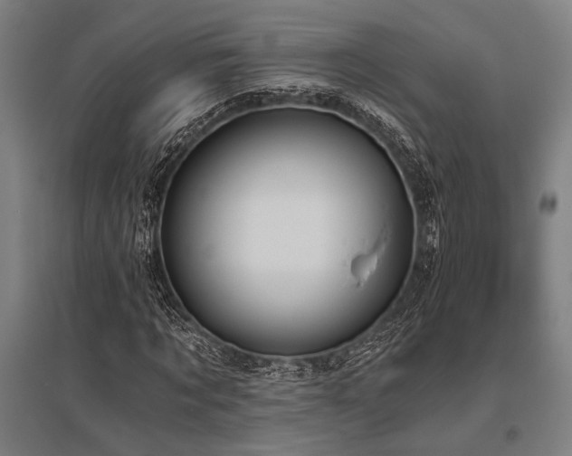 X0000096180869200801181310