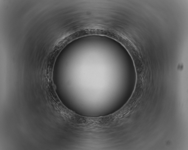 X0000096180870200801181310