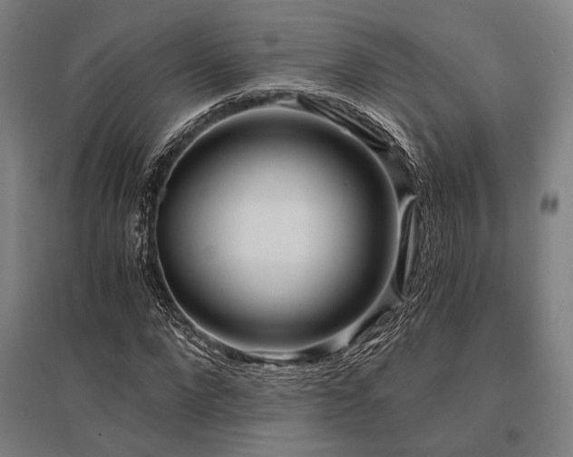 X0000096180872200801181310