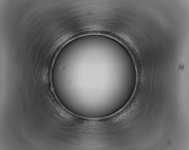 X0000096180873200801181310