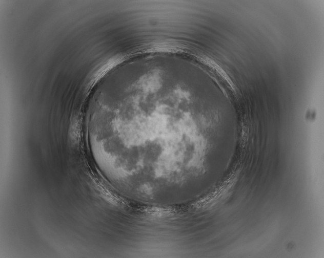 X0000096180874200801181310