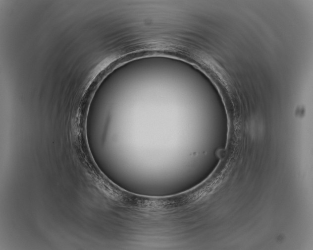 X0000096180875200801181310