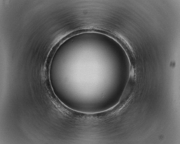 X0000096180876200801181310