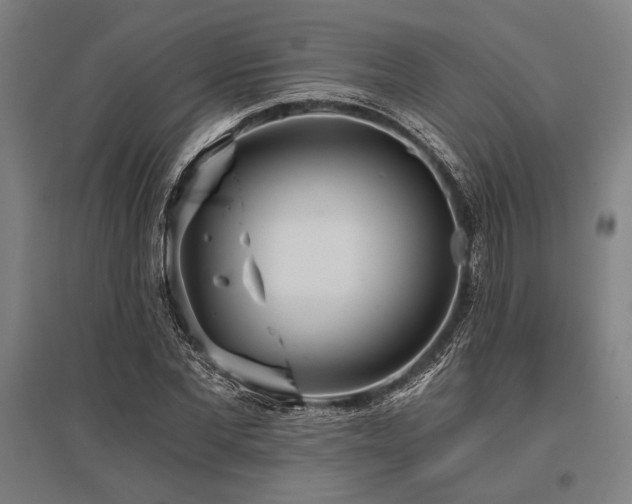 X0000096180877200801181310