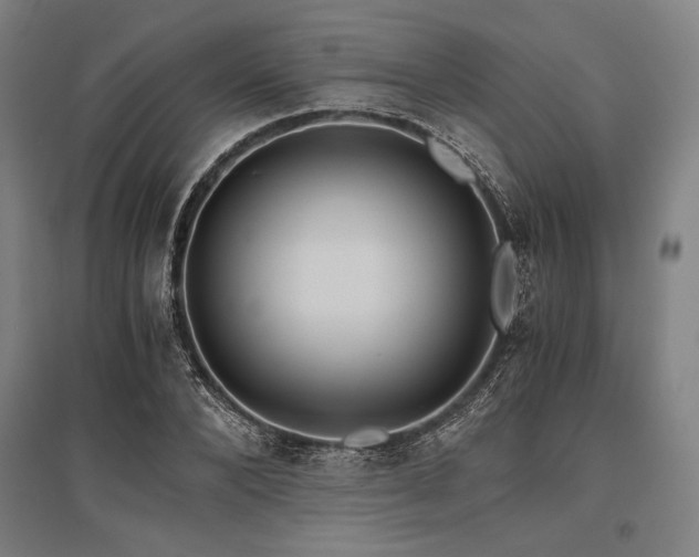 X0000096180880200801181310