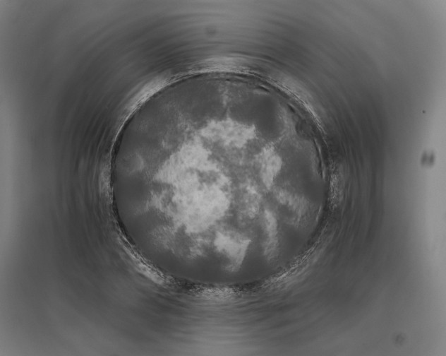 X0000096180882200801181310
