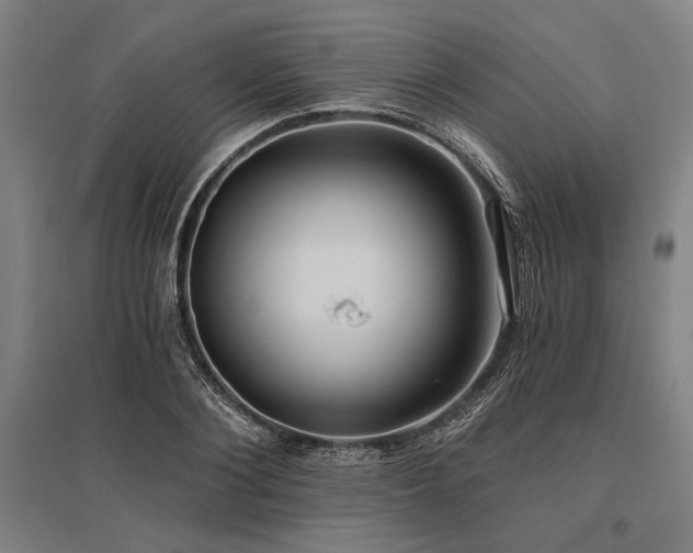 X0000096180884200801181310