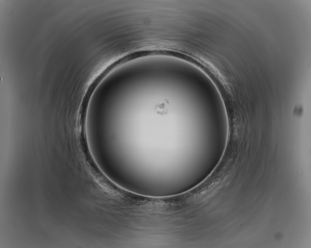 X0000096180885200801181310