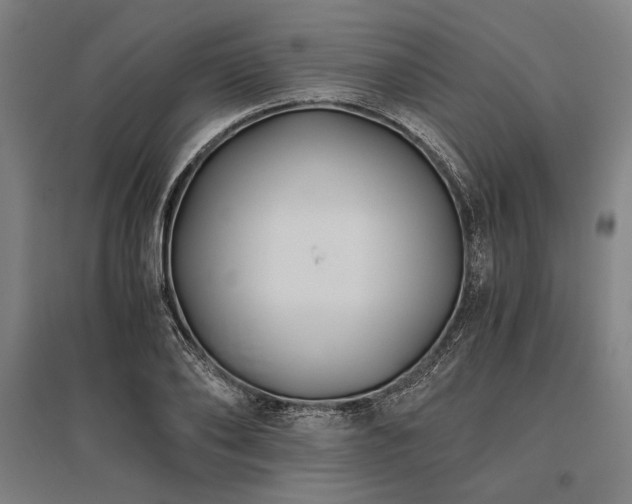 X0000096180886200801181310