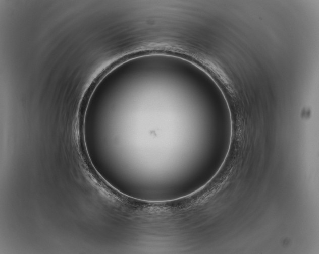 X0000096180888200801181310