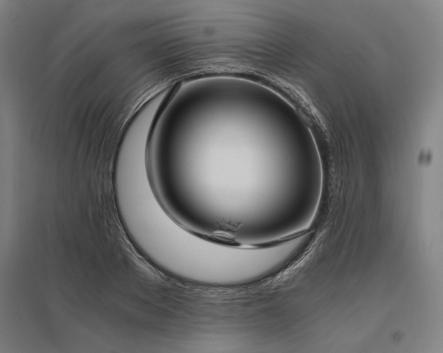 X0000096180889200801181310