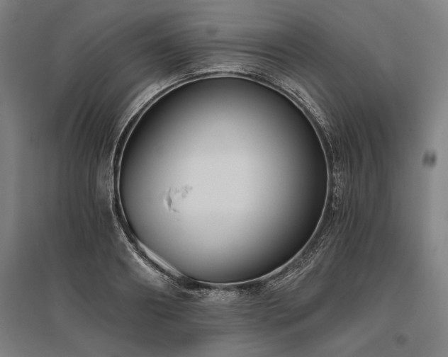 X0000096180890200801181310