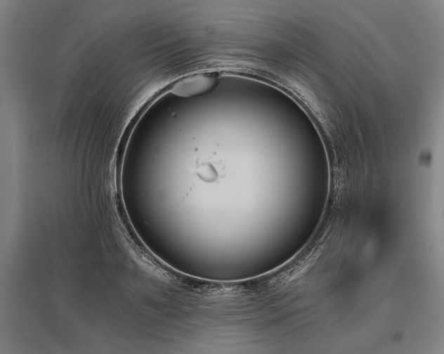 X0000096180891200801181310