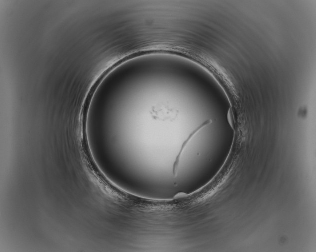 X0000096180892200801181310