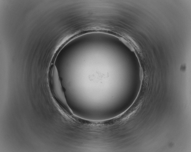 X0000096180893200801181310