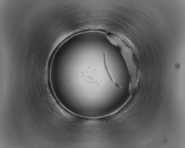 X0000096180894200801181310
