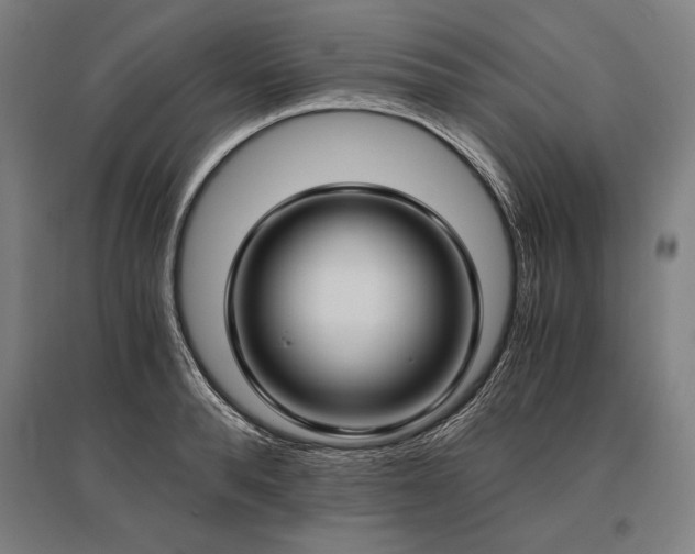 X0000096180896200801181310