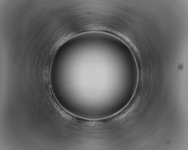 X0000096180897200801181310
