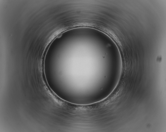 X0000096180898200801181310