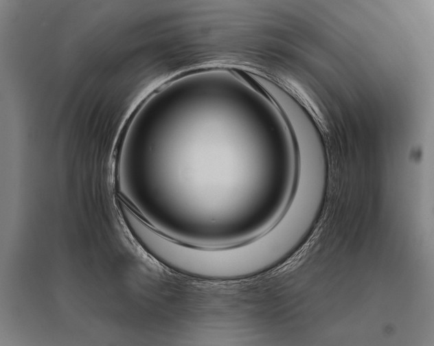 X0000096180900200801181310