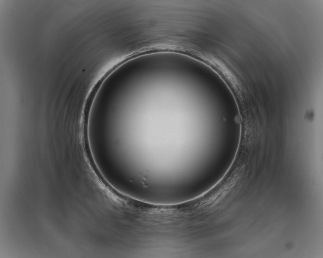 X0000096180902200801181310