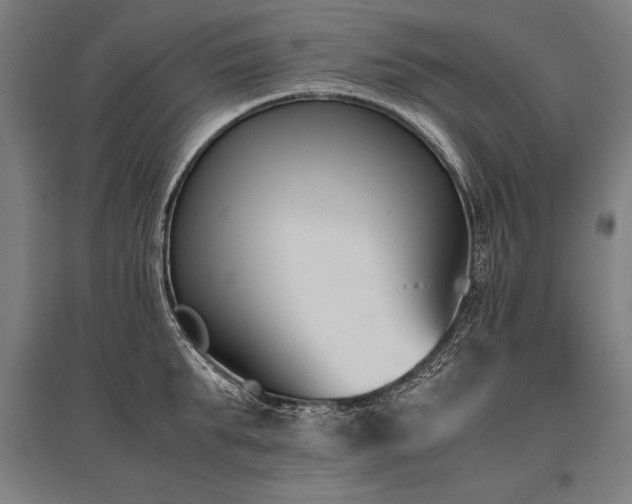 X0000096180903200801181310