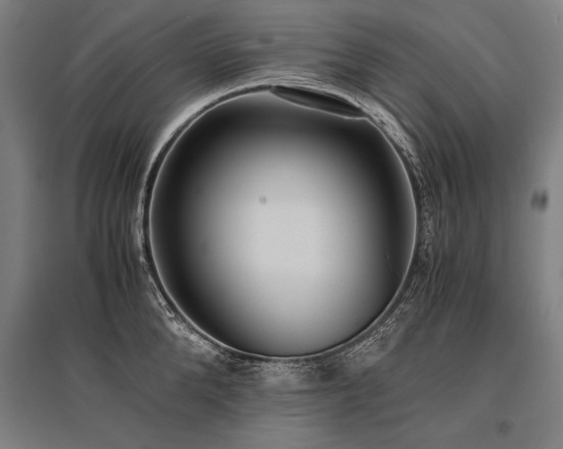 X0000096180904200801181310