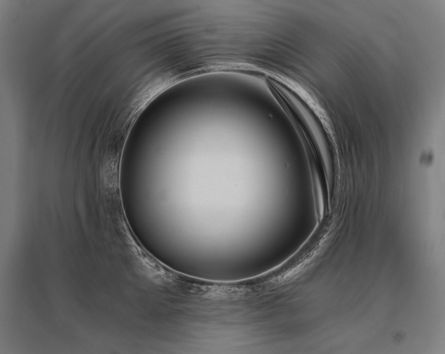X0000096180905200801181310