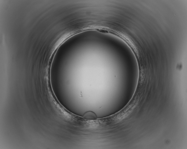 X0000096180906200801181310