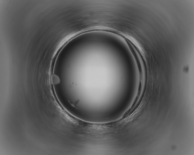 X0000096180910200801181309