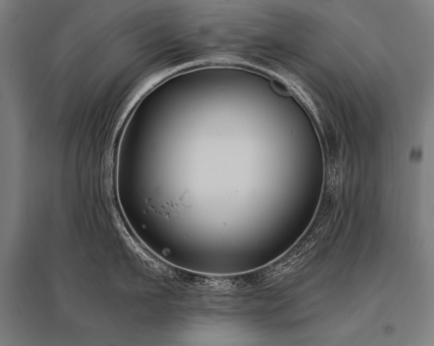 X0000096180911200801181309