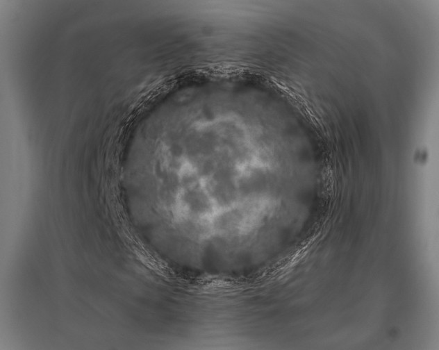 X0000096180913200801181309