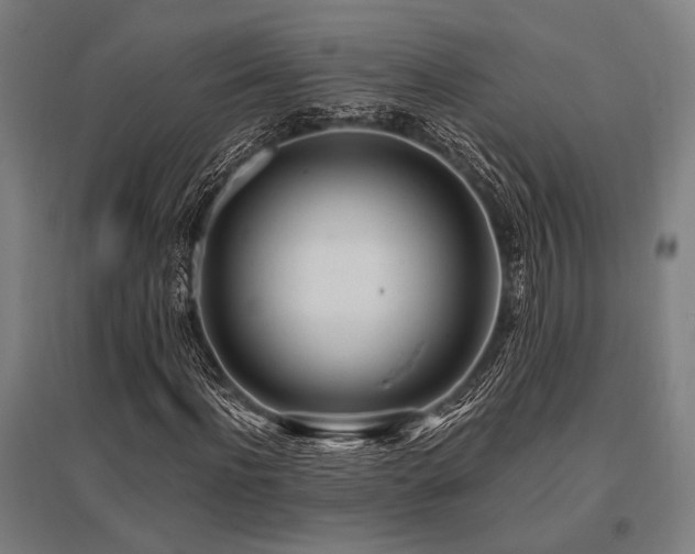 X0000096180916200801181309
