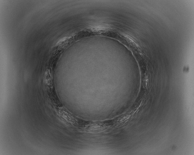 X0000096180917200801181309