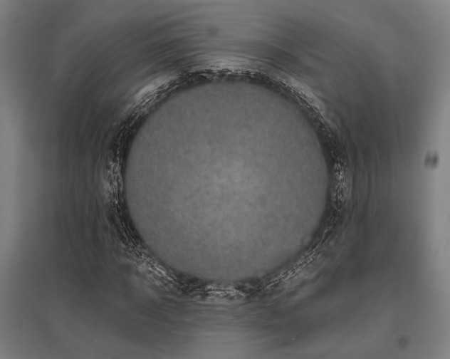 X0000096180918200801181309