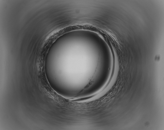 X0000096180920200801181309