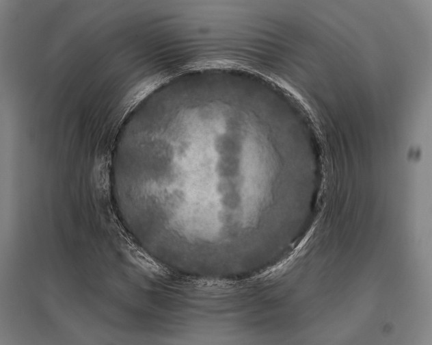 X0000096180921200801181309