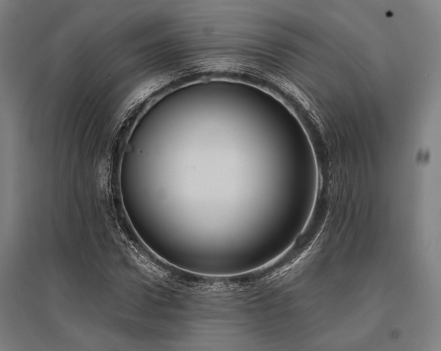X0000096180922200801181309