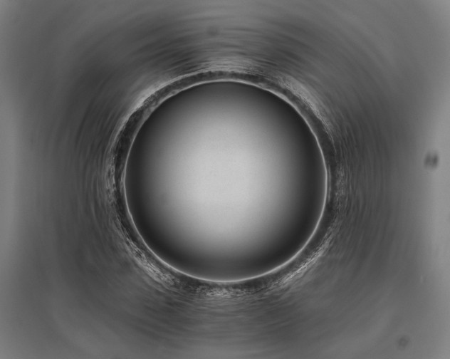 X0000096180923200801181309