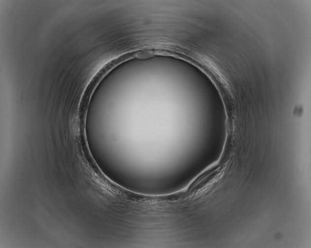 X0000096180924200801181309