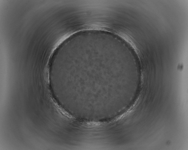 X0000096180925200801181309