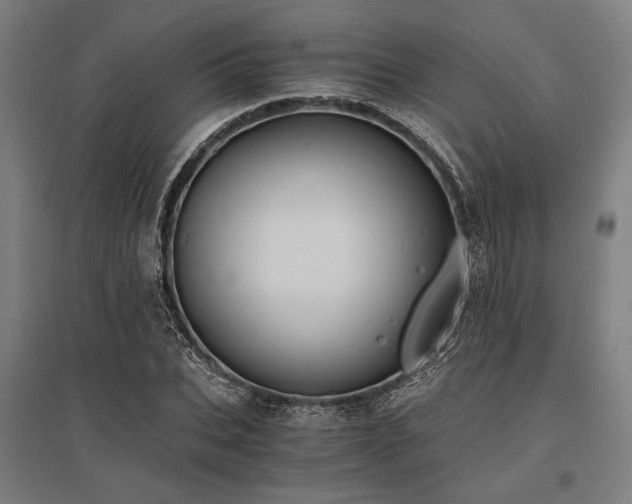X0000096180927200801181309