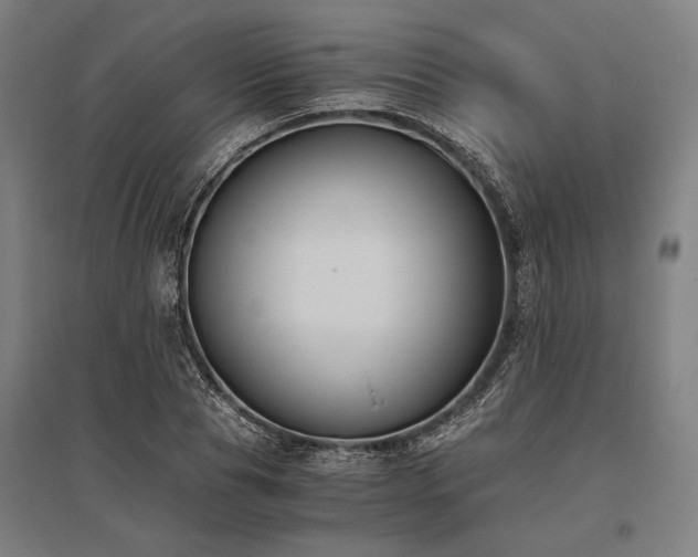 X0000096180929200801181309