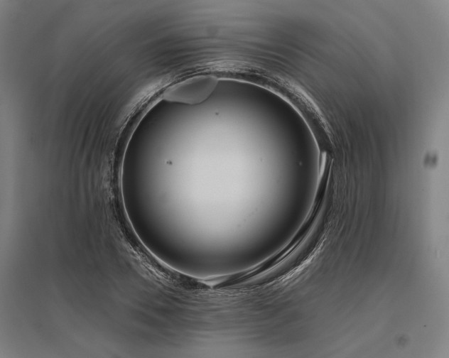 X0000096180930200801181309