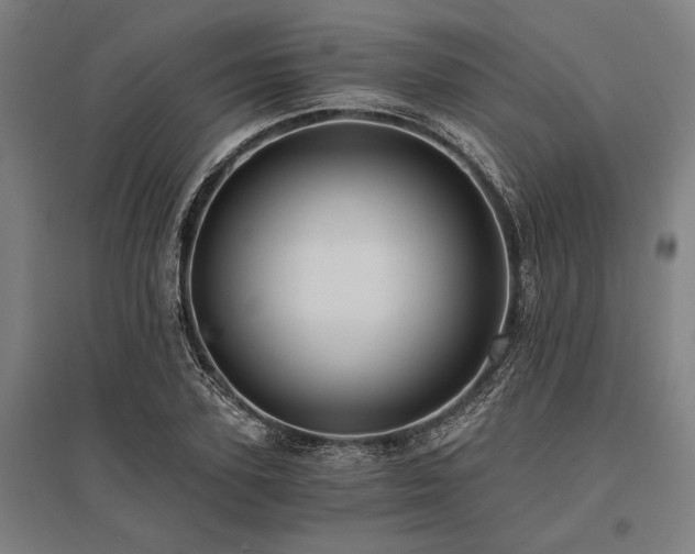 X0000096180931200801181309