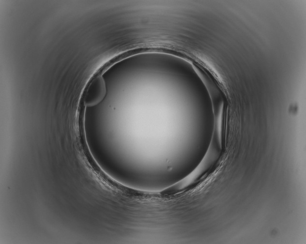 X0000096180932200801181309